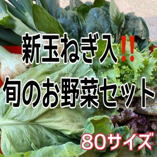 【新玉ねぎ入‼️】旬のお野菜セット❗️(野菜)