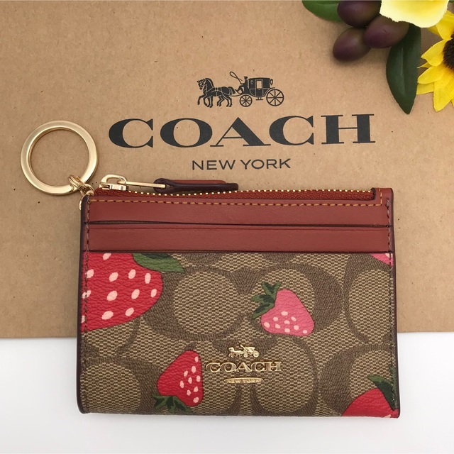 2021新入荷 COACHミニ スキニー ID ケース シグネチャー キャンバス