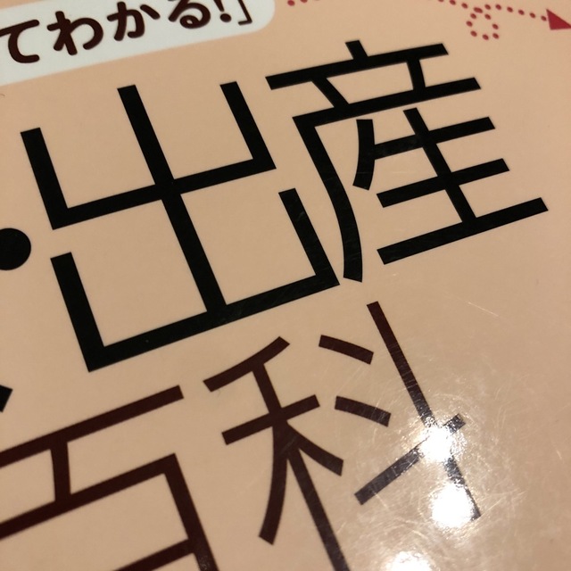 月数ごとに「見てわかる！」妊娠・出産新百科 妊娠初期から産後１カ月までこれ１冊で エンタメ/ホビーの雑誌(結婚/出産/子育て)の商品写真