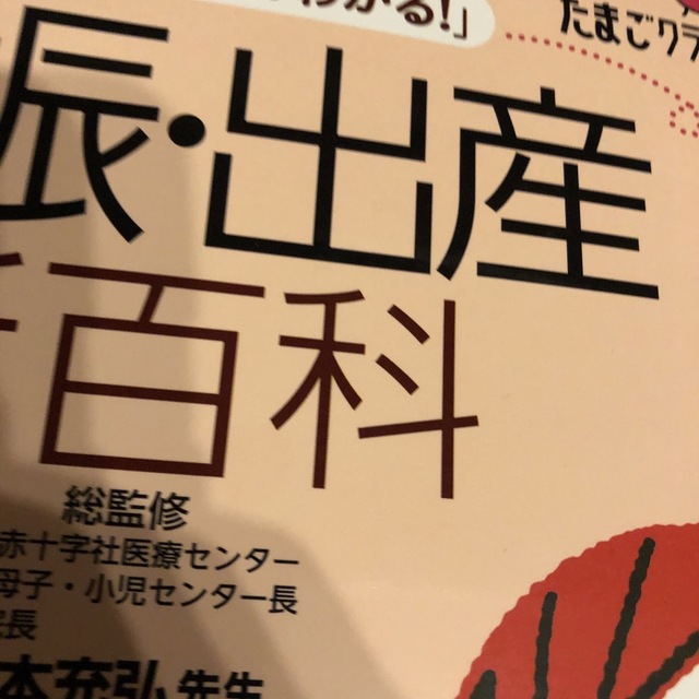 月数ごとに「見てわかる！」妊娠・出産新百科 妊娠初期から産後１カ月までこれ１冊で エンタメ/ホビーの雑誌(結婚/出産/子育て)の商品写真