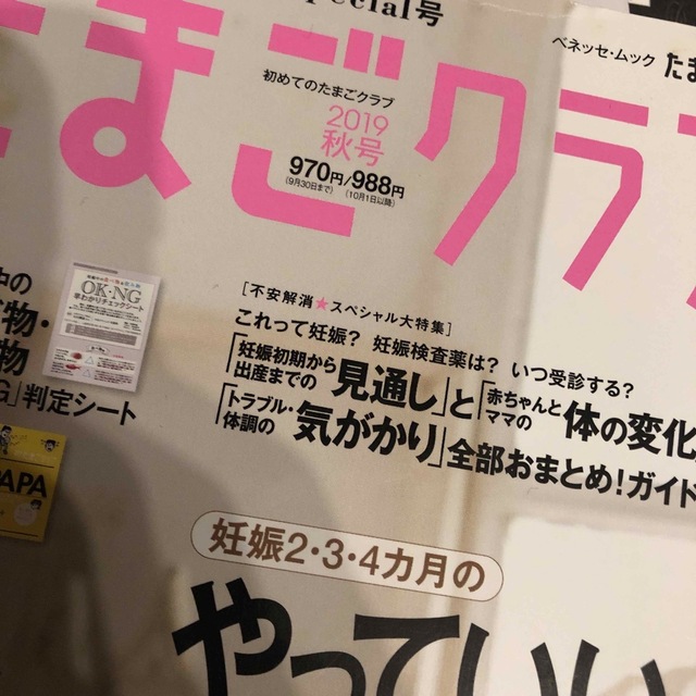 初めてのたまごクラブハンディサイズ版 妊娠がわかったら最初に読む本 ２０１９年秋 エンタメ/ホビーの雑誌(結婚/出産/子育て)の商品写真