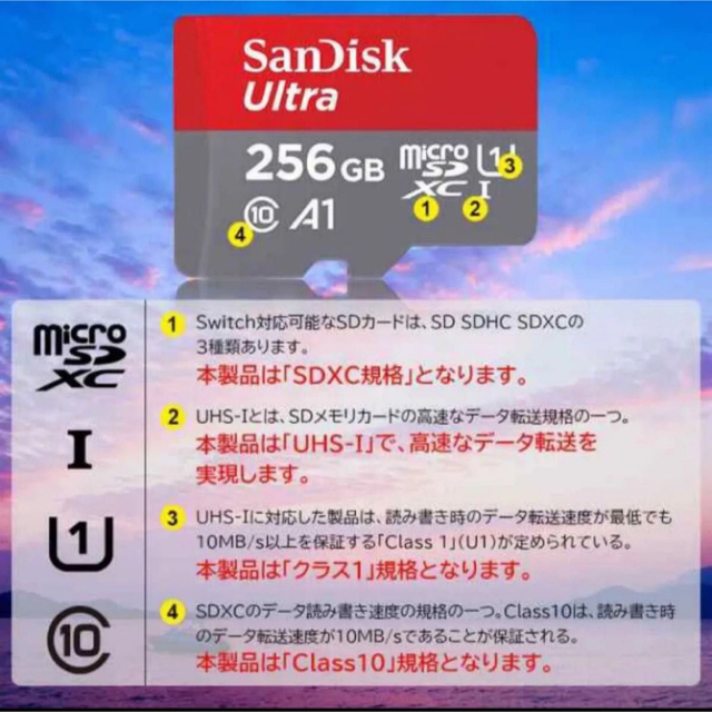 SanDisk(サンディスク)の新品！！新型 sandisk マイクロSDカード　256GB  エンタメ/ホビーのゲームソフト/ゲーム機本体(その他)の商品写真