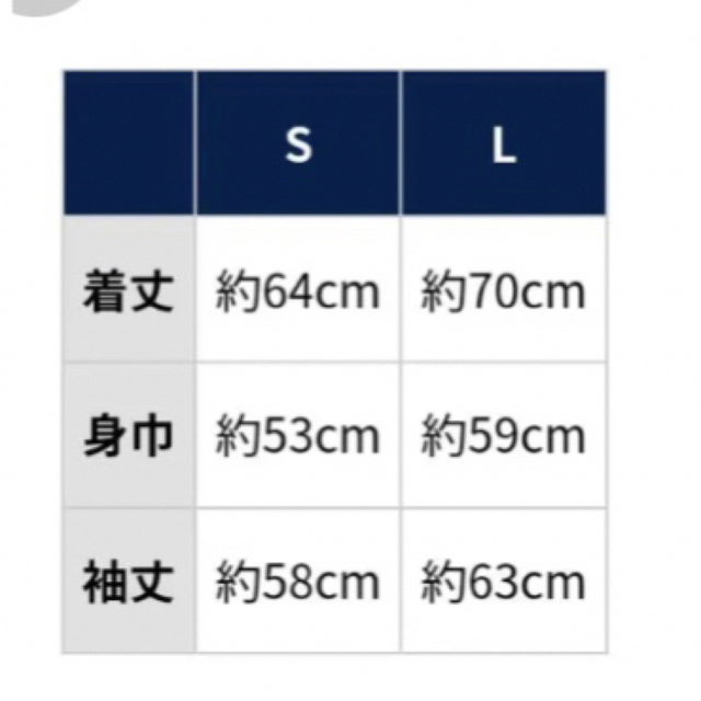 埼玉西武ライオンズ 4/2限定配布 白獅子パーカーLサイズ＋おまけ スポーツ/アウトドアの野球(記念品/関連グッズ)の商品写真