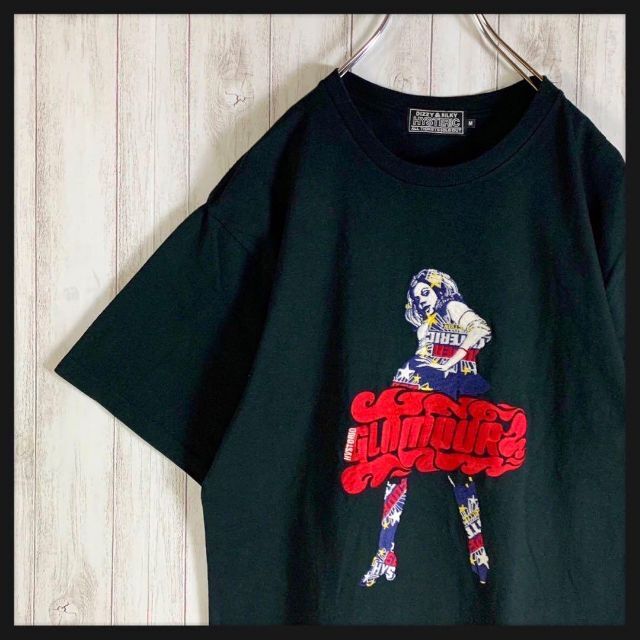 超絶希少モデル】ヒステリックグラマー 刺繍ロゴ VIXEN GIRL Tシャツ T
