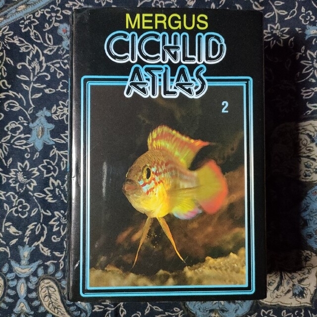 Mergus Cichlid Atlas Volume 2　英語　アピストグラマ