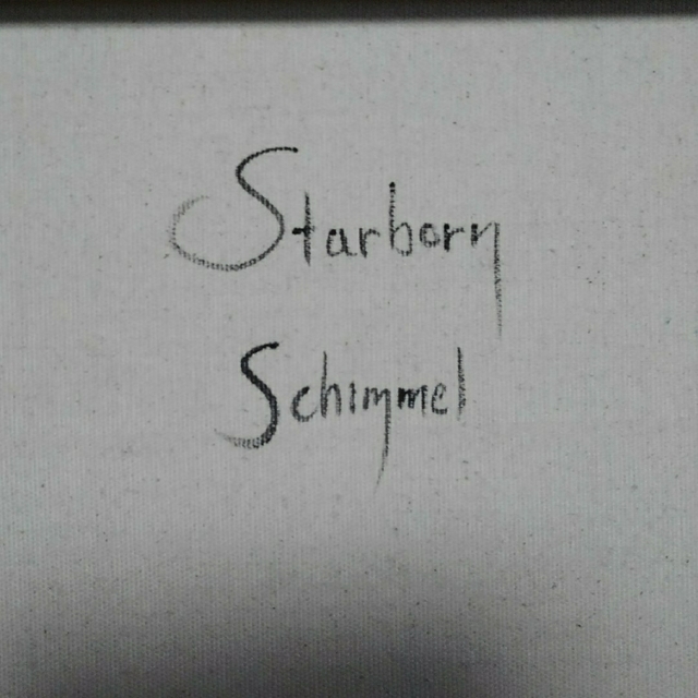 シム・シメール「Starborn」 油彩画　絵画　サイン　肉筆保証　模写　１点物