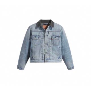 ステューシー(STUSSY)のStussy × Levi's Embossed Trucer "Denim"(Gジャン/デニムジャケット)