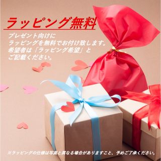 SEIKO - ☆定価595USD☆完全未使用 コーチュラ SSG019 セイコー WW1611