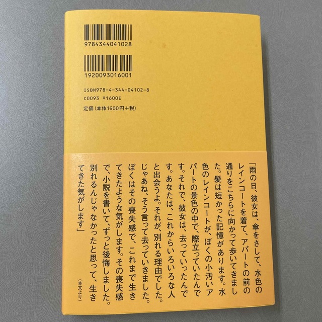 ユーチューバー エンタメ/ホビーの本(文学/小説)の商品写真