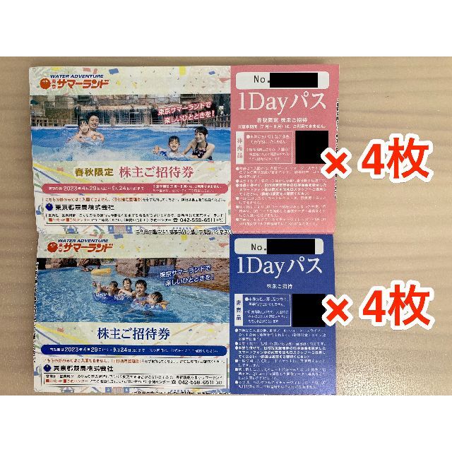 東京サマーランド 株主優待 1Dayパス×8枚+α(ラクマパック発送)20240331まで