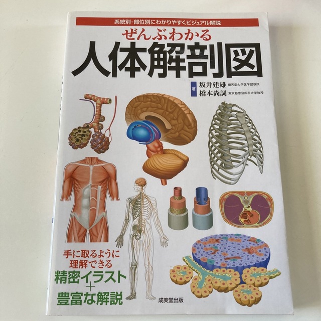 ぜんぶわかる人体解剖図 系統別・部位別にわかりやすくビジュアル解説 エンタメ/ホビーの本(その他)の商品写真