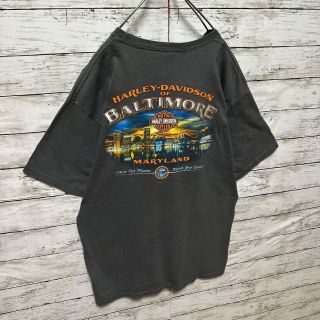 【人気Lサイズ】ハーレーダビッドソン☆ウルフ　ビッグロゴ最高デザイン半袖Tシャツ