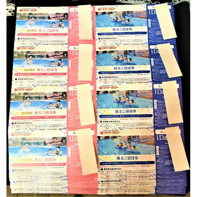 最新 東京都競馬 株主優待 東京サマーランド4セット チケットの施設利用券(遊園地/テーマパーク)の商品写真