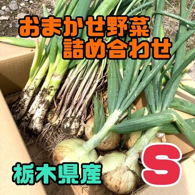 おまかせ野菜詰め合わせBOX【S】 食品/飲料/酒の食品(野菜)の商品写真