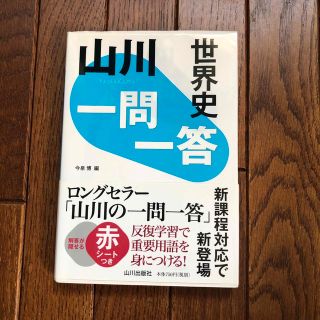 山川一問一答世界史　表紙小傷　ドックイヤー　マーカーチェック箇所多少あり。(語学/参考書)