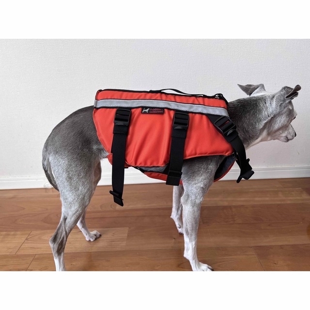 mont bell(モンベル)の犬用ライフジャケット　Sサイズ その他のペット用品(犬)の商品写真