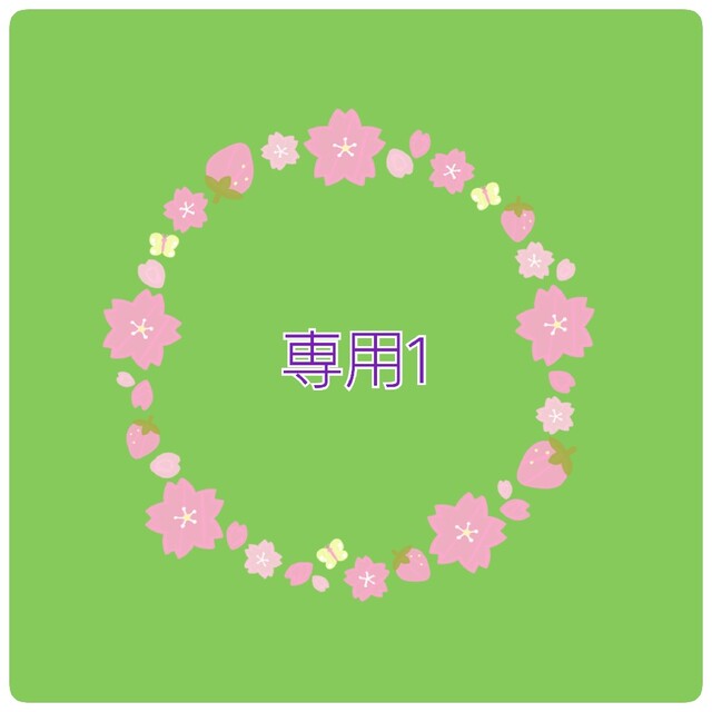 dia様専用1 定番 www.toyotec.com