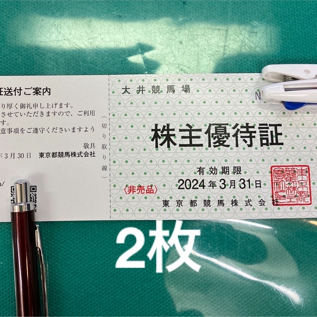 東京都競馬 株主優待 1Dayパス 16枚 東京サマーランド 【最安値】 7840