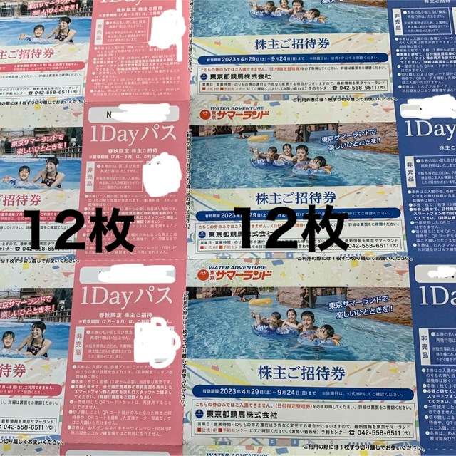 百貨店 東京都競馬 株主優待 東京サマーランド 1Dayパス 2枚 プール