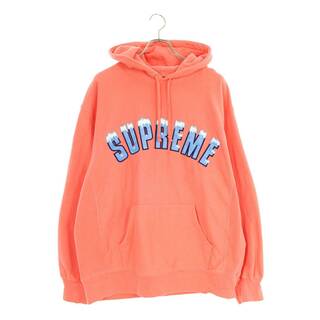 Supreme 2020AW Icy Arc Hooded Sweatshirt