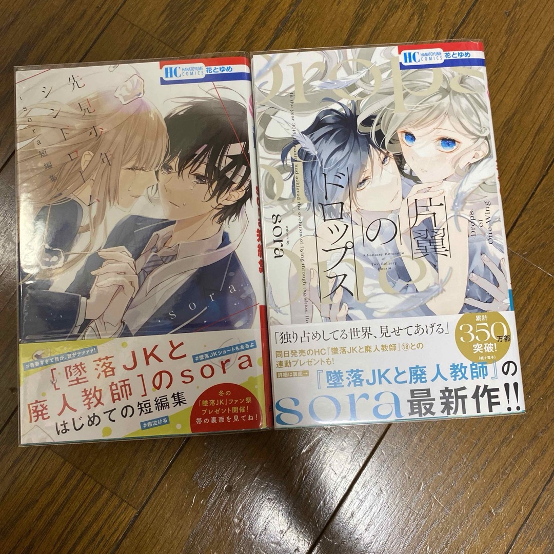 墜落JKと廃人教師 19 短編集 sora 既刊全巻 初版 墜落JKと廃人教師 19 短編集 sora 既刊全巻 初版