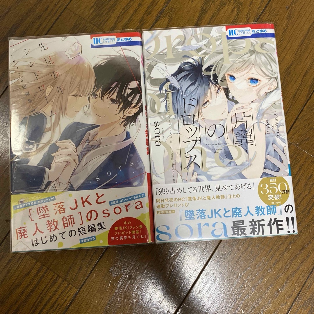 墜落JKと廃人教師 19 短編集 sora 既刊全巻 初版