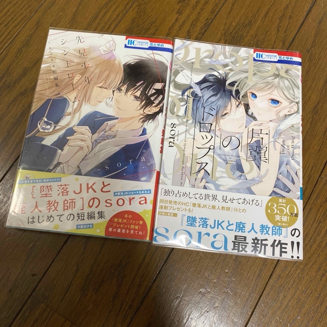 白泉社(ハクセンシャ)の墜落JKと廃人教師 19 短編集 sora 既刊全巻 初版 エンタメ/ホビーの漫画(少女漫画)の商品写真