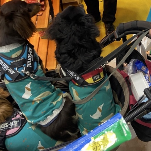 『ダックス柄タンクトップ』メルロコ　ダックス　犬服 ハンドメイドのペット(ペット服/アクセサリー)の商品写真