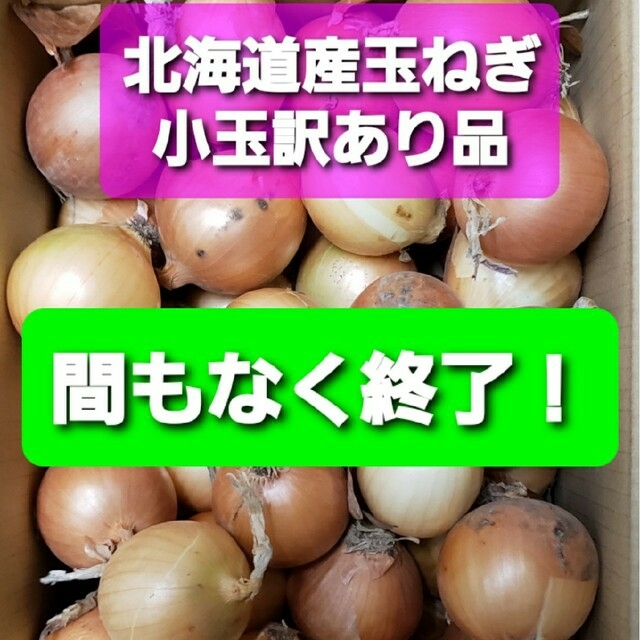 ◆間もなく今期終了　北海道玉ねぎ　訳あり品　２Sサイズ小玉　約１０キロ 食品/飲料/酒の食品(野菜)の商品写真