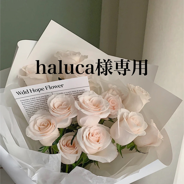 haluca様専用ページ エンタメ/ホビーのタレントグッズ(アイドルグッズ)の商品写真