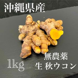 沖縄県産 無農薬 生　秋ウコン1kg なくなり次第終了(野菜)