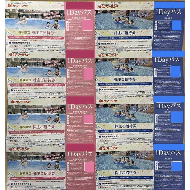 東京都競馬 株主優待 東京サマーランド チケットの施設利用券(遊園地/テーマパーク)の商品写真