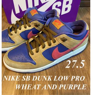 NIKE OVERBREAK SP ブラウン×パープル 26cm 《新品》 - www.ecotours
