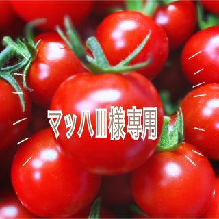 ミニトマト　２ｋｇ(野菜)
