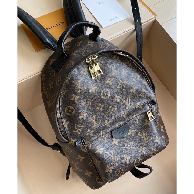 Louis Vuitton パームスプリングス PM モノグラム リュック