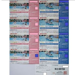 東京サマーランド 株主優待 1Dayパス8枚　大井競馬場　優待証(遊園地/テーマパーク)