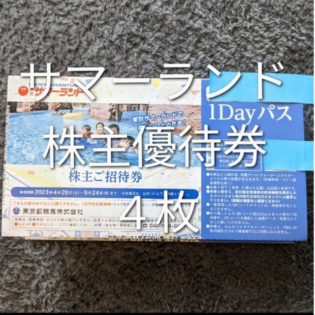 サマーランド 株主優待 4枚セット遊園地/テーマパーク