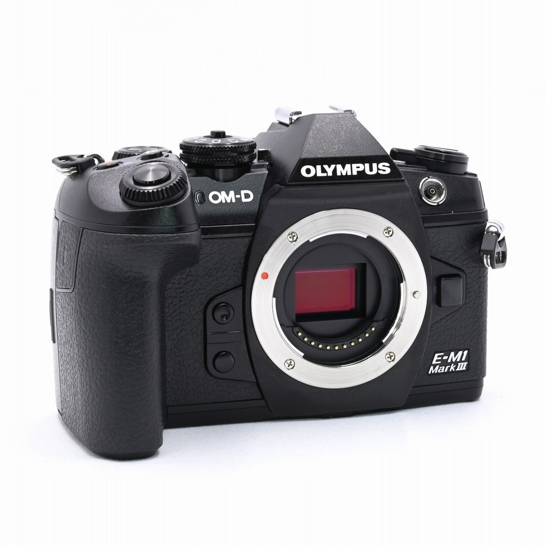 バッテリーOLYMPUS OM-D 本体　一眼レフカメラ