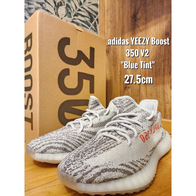 アディダス Yeezy Boost 350 V2 BLUE TINT