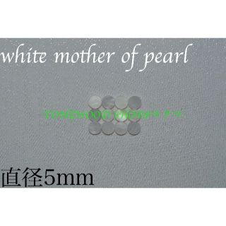 white mother of pearl 直径5mm 13個 ポジションマーク(その他)