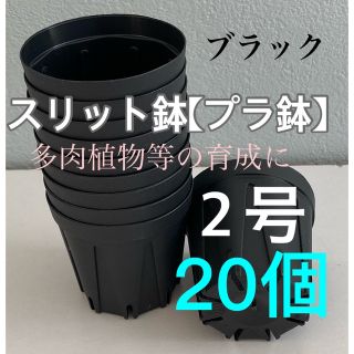 【スリット鉢】プラ鉢直径6cm 2号　20個セット【新品】ブラック(プランター)