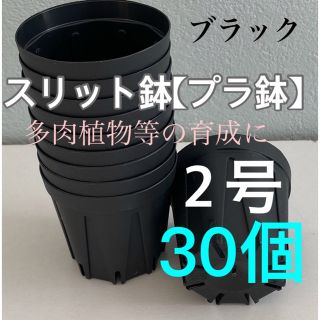 【スリット鉢】プラ鉢直径6cm 2号　30個セット【新品】ブラック(プランター)