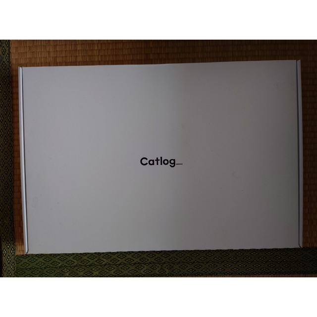 catlog board　バラ売り　在庫2つ限り　その1