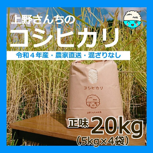 ミルキークイーン栃木産「コシヒカリ」 白米 20kg