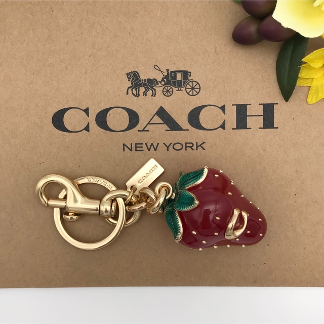 新品未使用品コーチ袋付きCOACHシグネチャーレッドアップル