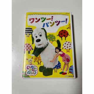 いないいないばあ　DVD  ワンツーパンツ(キッズ/ファミリー)