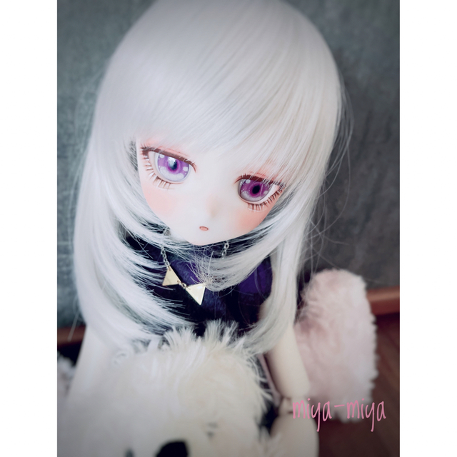 DDH-29 ドルフィードリーム カスタムヘッド レジンアイ sw肌 大人気