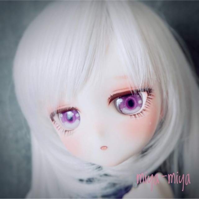 DDH-29 ドルフィードリーム カスタムヘッド レジンアイ sw肌 | www