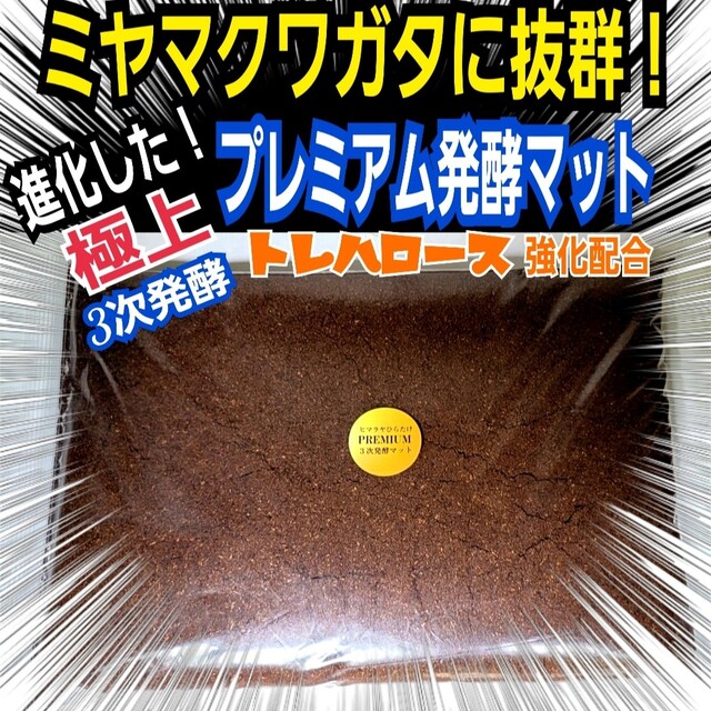 レターパックプラス 520円 100枚セット レターパックプラス 520円 100枚セット