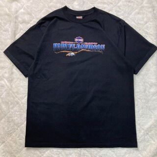 ハーレーダビッドソン(Harley Davidson)のハーレーダビッドソン ホワイトハウス 2001年 Tシャツ(Tシャツ/カットソー(半袖/袖なし))